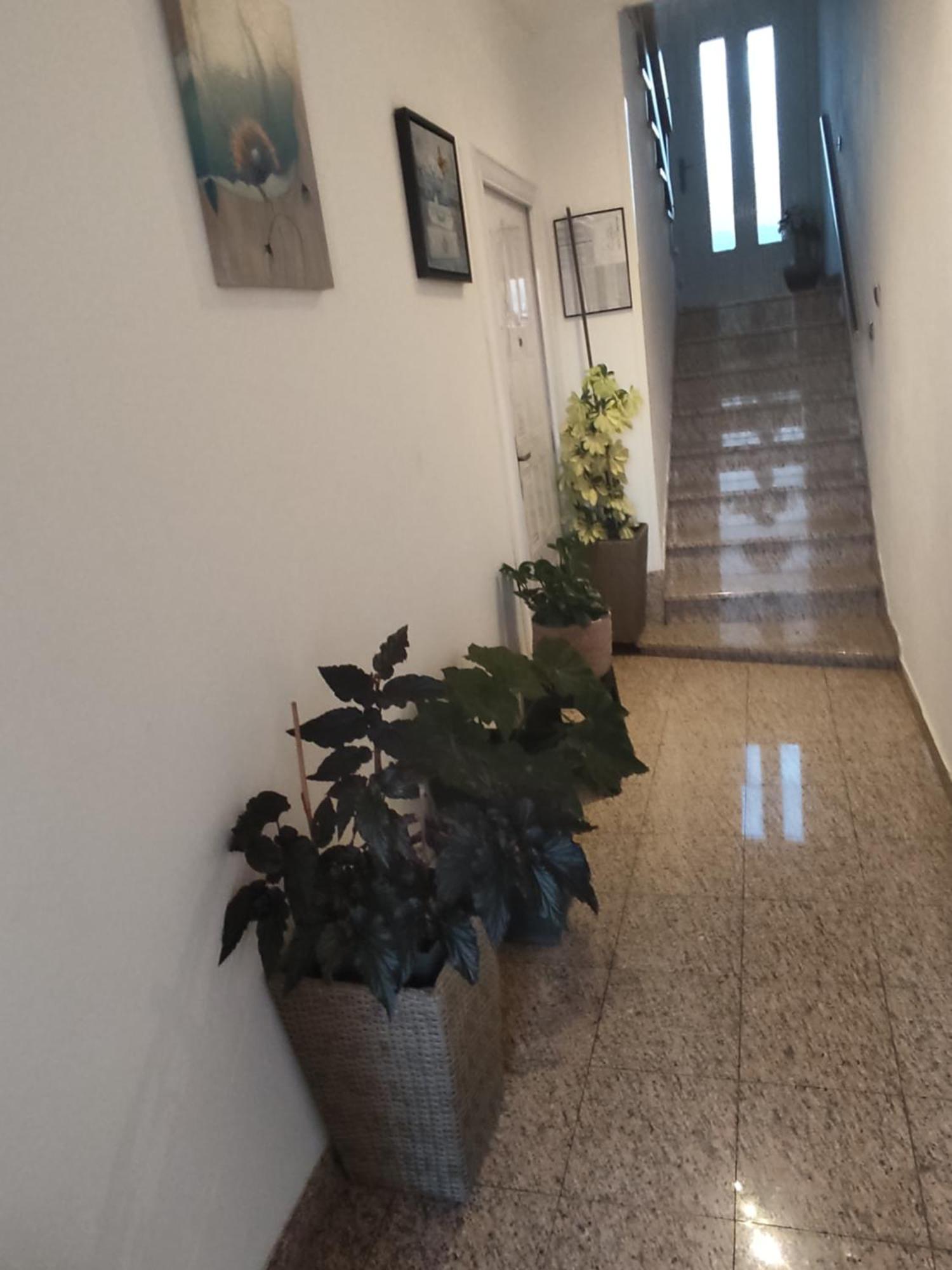 מלון ברודאריצה Dalmati House מראה חיצוני תמונה
