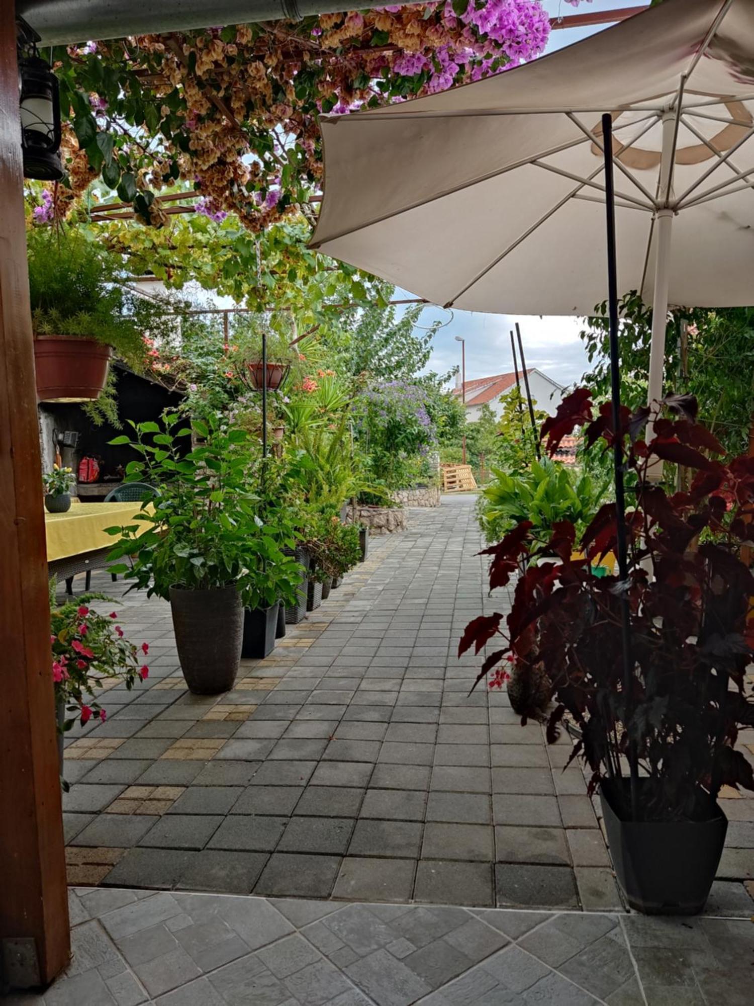 מלון ברודאריצה Dalmati House מראה חיצוני תמונה